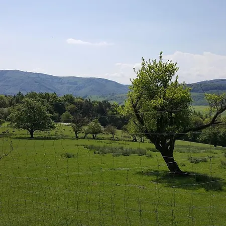 דירה Smart Liv'in Laabnerhof לאבן