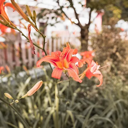 Smart Liv'in Laabnerhof *