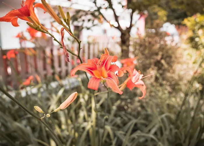 Smart Liv'in Laabnerhof *