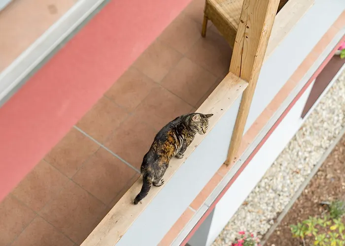 Smart Liv'in Laabnerhof